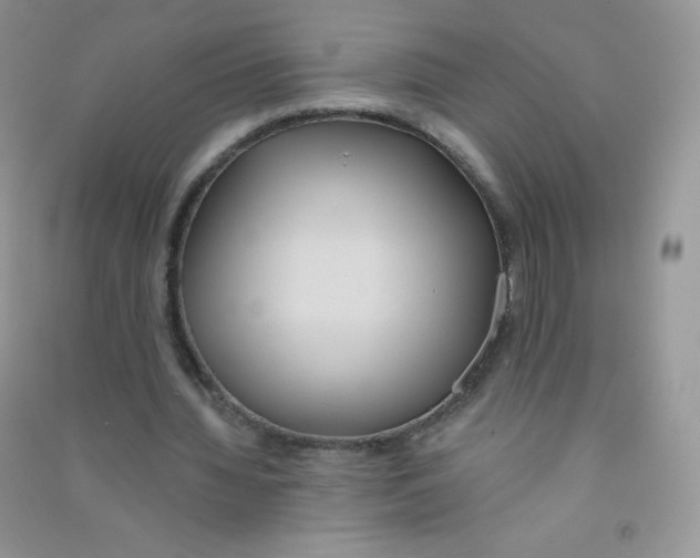 X0000090710436200708171909