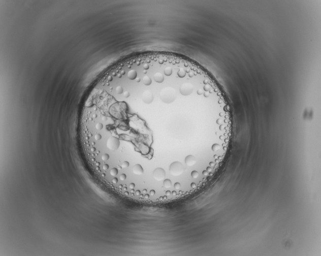 X0000090710437200708171909