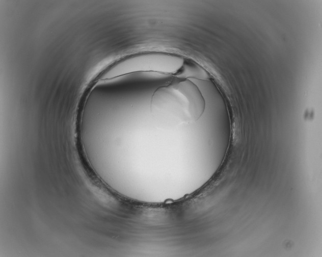 X0000090710438200708171909