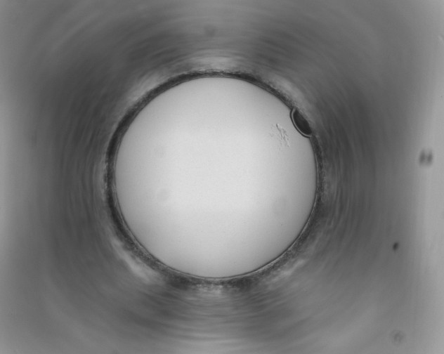 X0000090710439200708171909