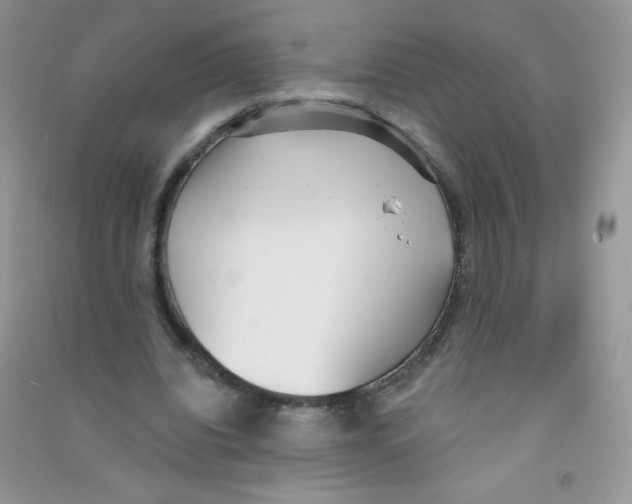 X0000090710440200708171909