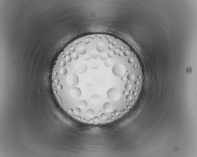 X0000090710441200708171909