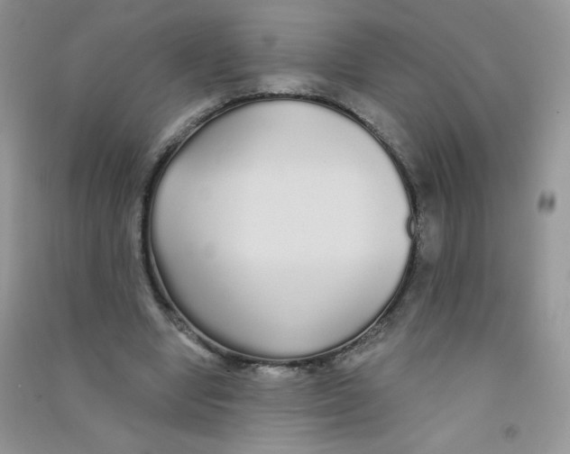 X0000090710442200708171909