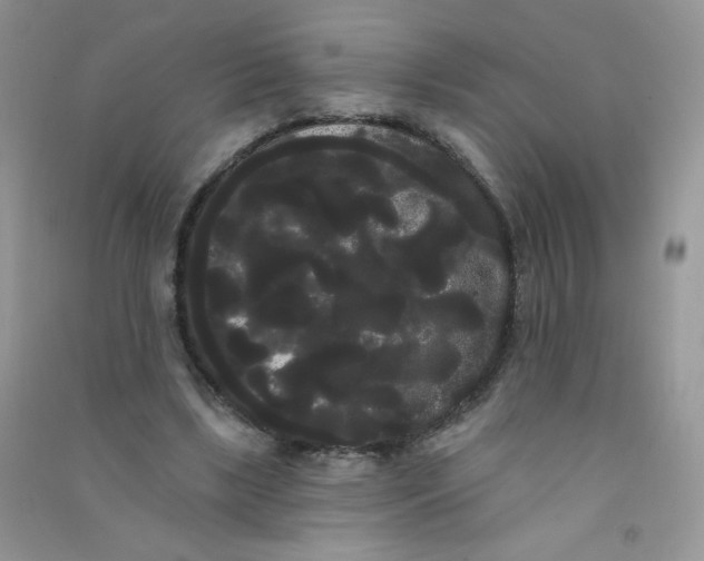 X0000090710443200708171909