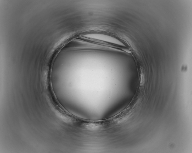 X0000090710444200708171909