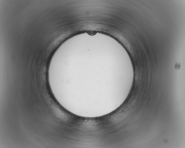 X0000090710445200708171909