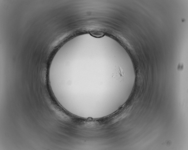 X0000090710446200708171910