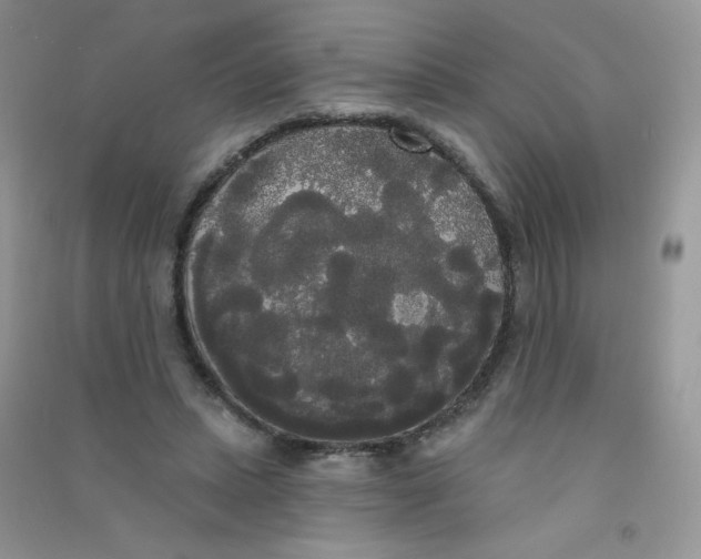 X0000090710447200708171910