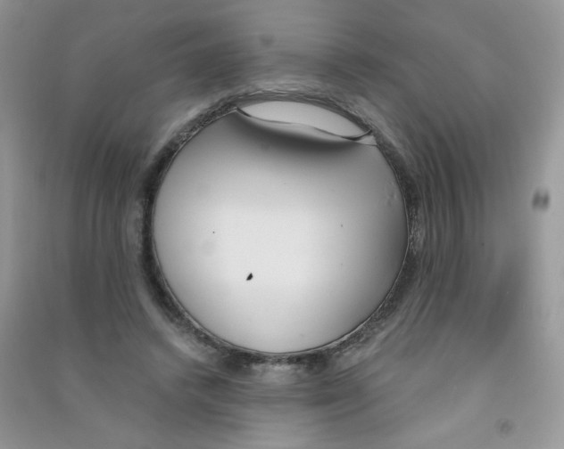 X0000090710448200708171910