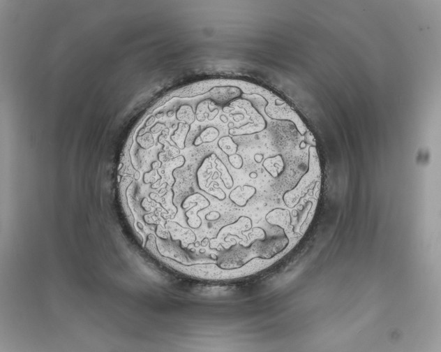 X0000090710449200708171910