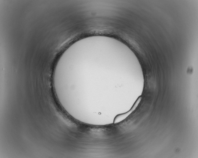 X0000090710450200708171910