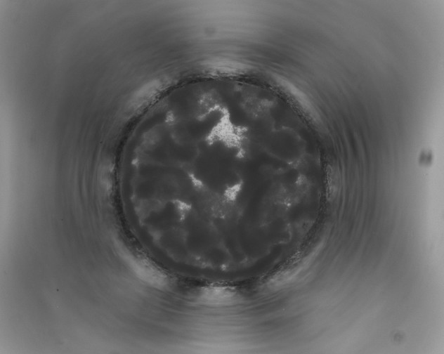 X0000090710451200708171910