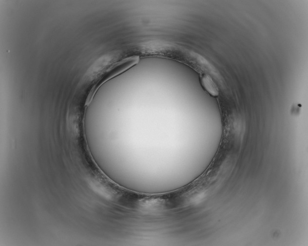 X0000090710452200708171910