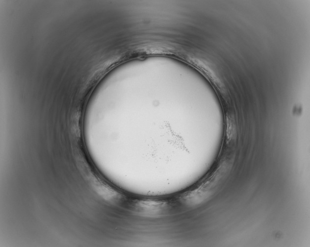 X0000090710453200708171910