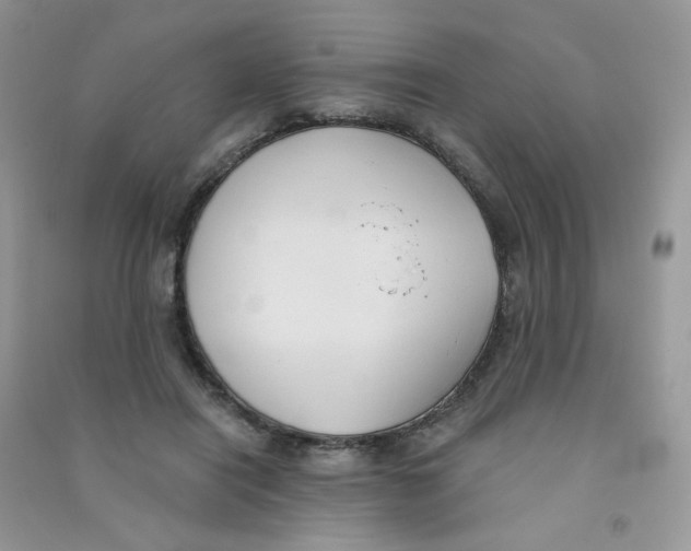 X0000090710454200708171910