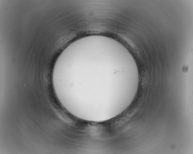 X0000090710455200708171910