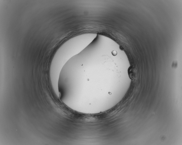 X0000090710456200708171910