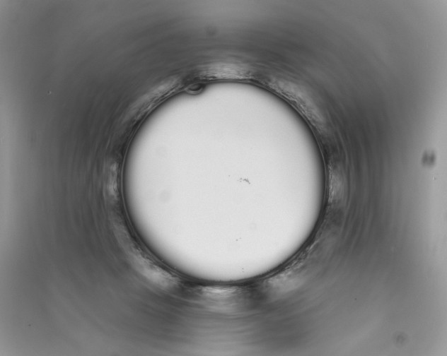 X0000090710457200708171910