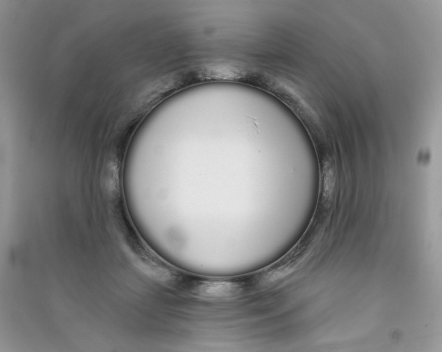 X0000090710459200708171910