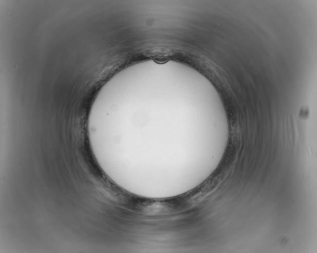 X0000090710460200708171910