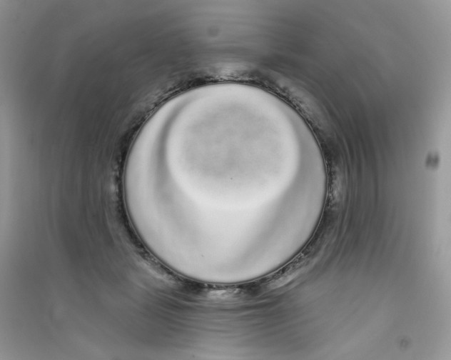 X0000090710461200708171910