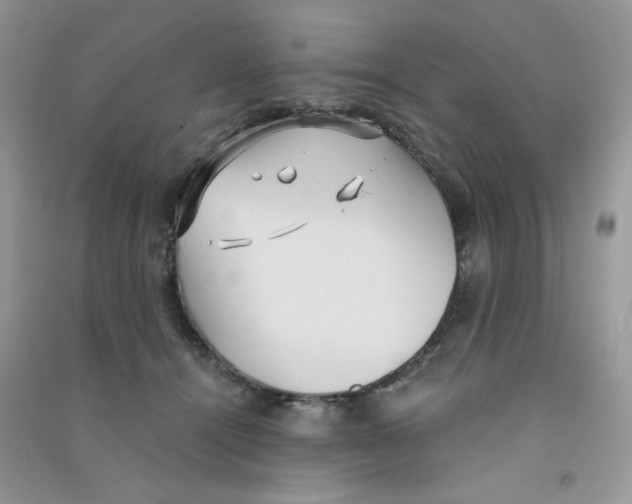 X0000090710464200708171910