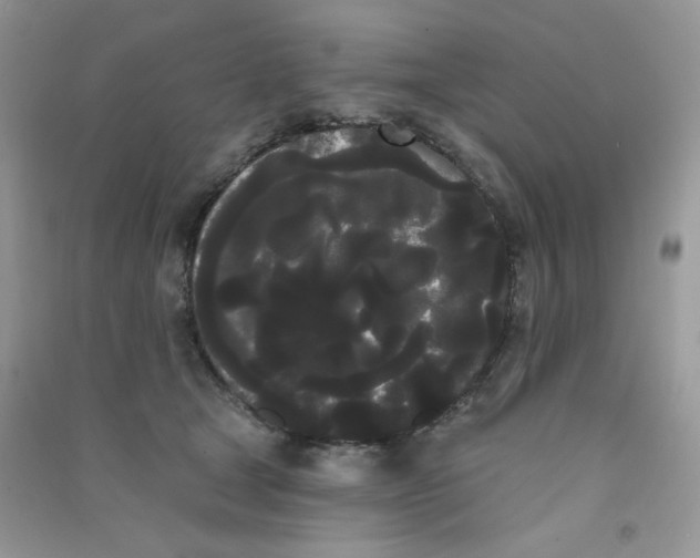 X0000090710465200708171910