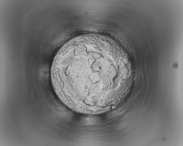 X0000090710466200708171910