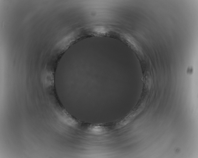 X0000090710467200708171910