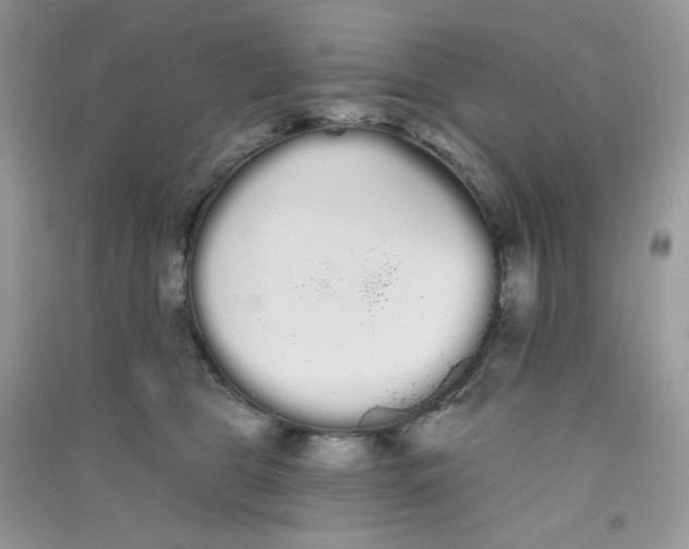 X0000090710469200708171910