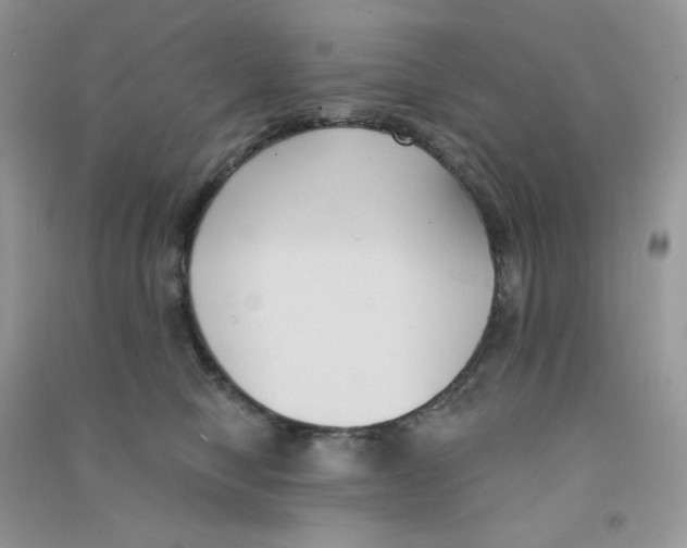 X0000090710470200708171910