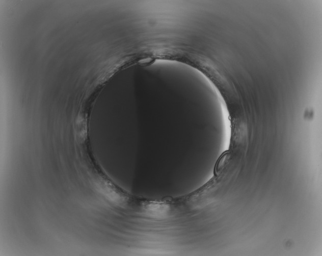 X0000090710471200708171910