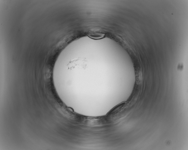 X0000090710472200708171910