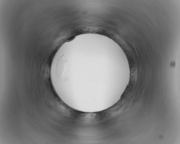 X0000090710474200708171910