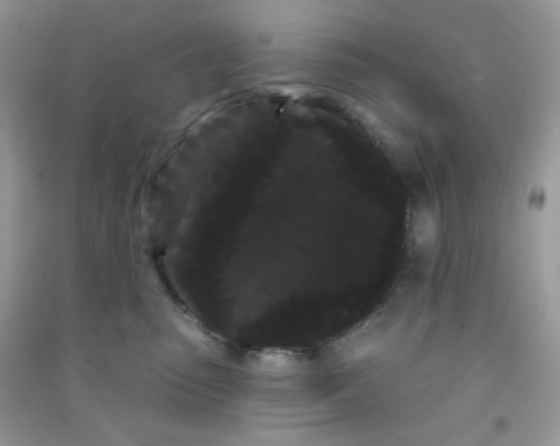 X0000090710475200708171910