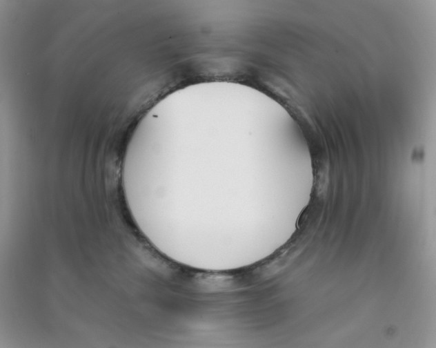 X0000090710476200708171910