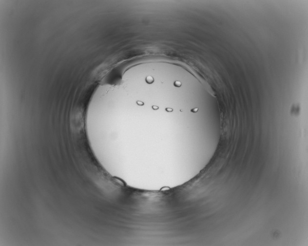 X0000090710478200708171910