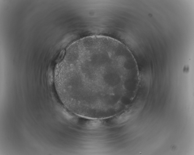 X0000090710479200708171910