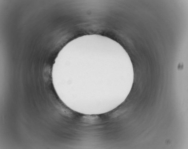 X0000090710480200708171910