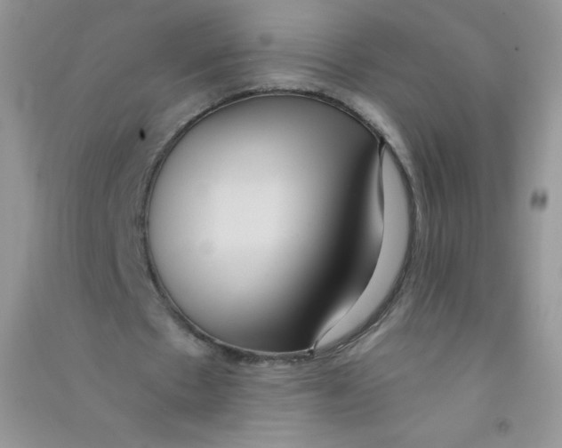 X0000090710481200708171909