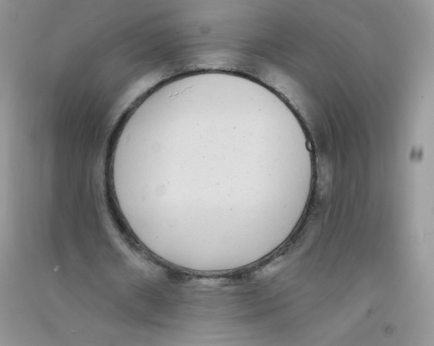 X0000090710482200708171909