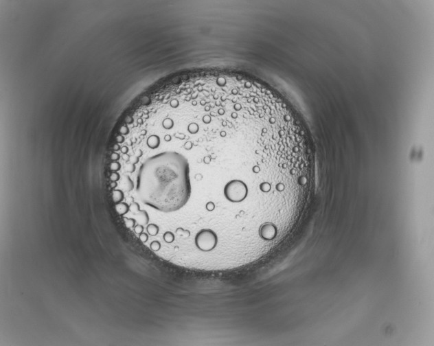 X0000090710483200708171909