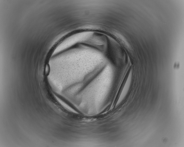 X0000090710484200708171909