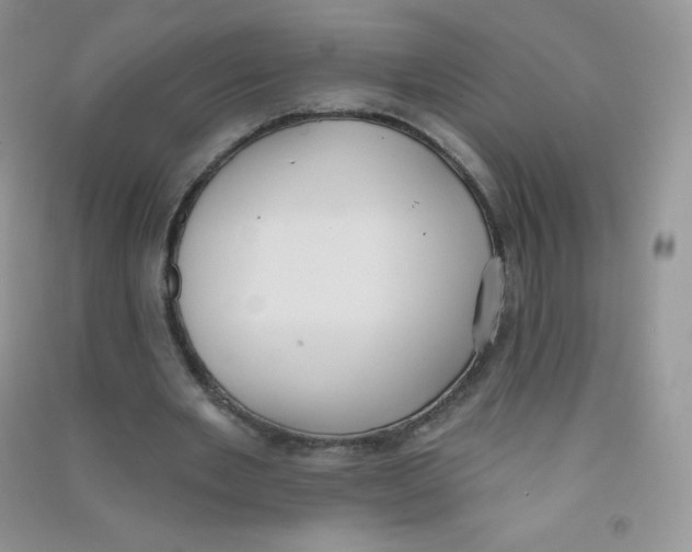 X0000090710485200708171909