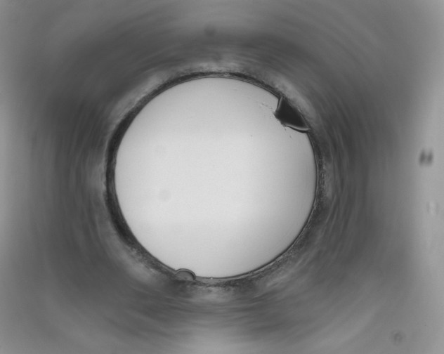 X0000090710486200708171909