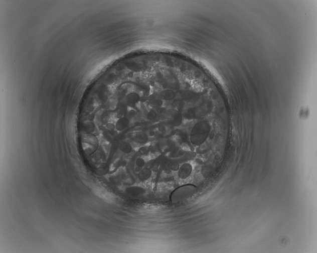 X0000090710487200708171909