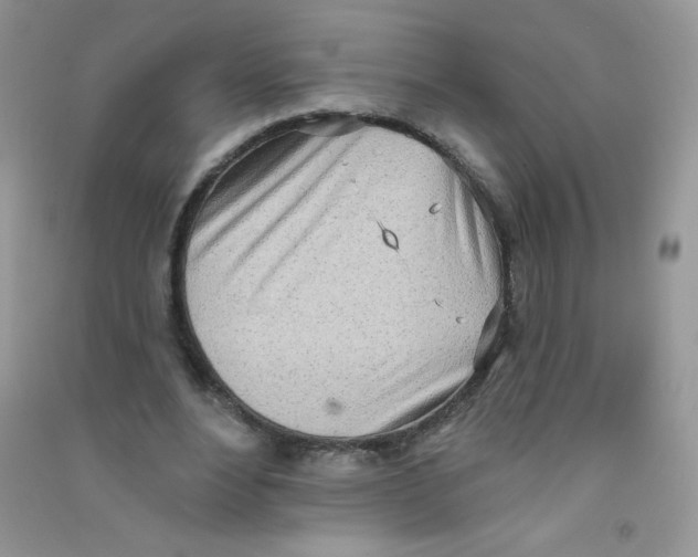 X0000090710488200708171909