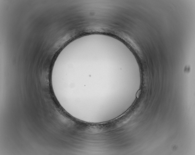 X0000090710489200708171909