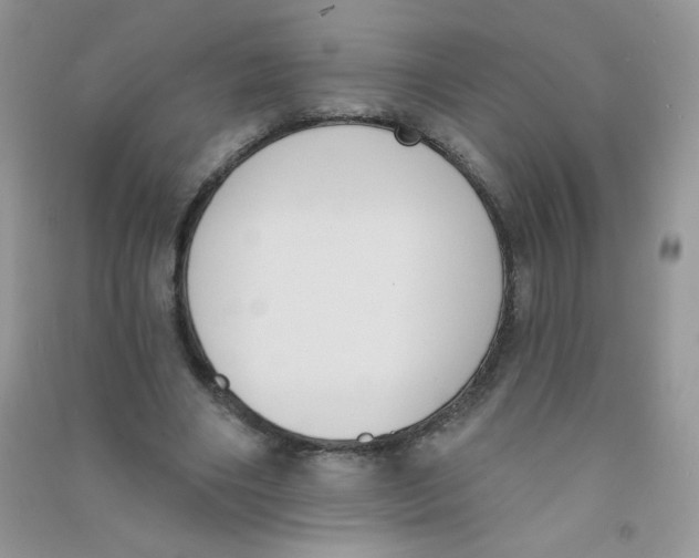 X0000090710490200708171909