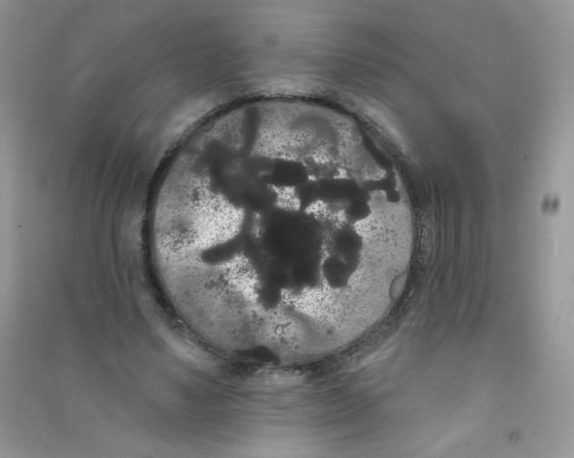 X0000090710491200708171909